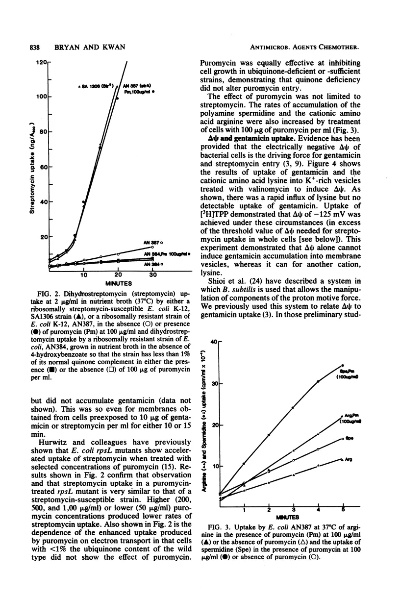 The Role of Antimicrobial Textiles in Medical Settings