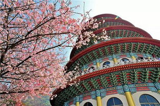 The Magnificent North China Citys Textile Wholesale Market