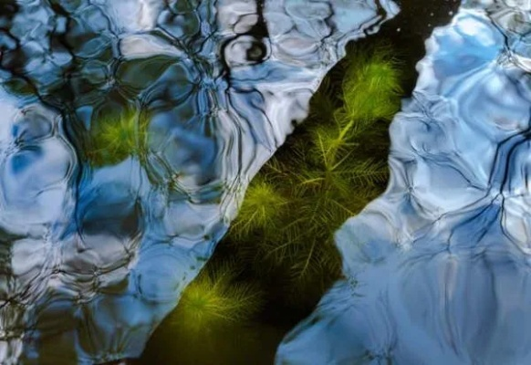 Photographing Textiles:A Journey Through the Art of Capturing Natures Textures