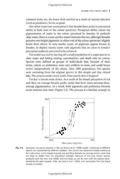 The Evolution and Impact of the Tang Dynastys Cotton Textiles