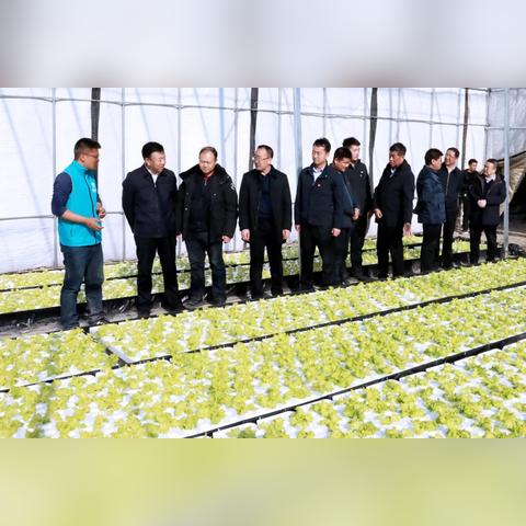 多壹爱纺织品，品质与时尚的完美融合