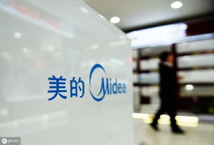 Top Ten Textile Companies in Shenzhen Ranking and Insights