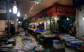 晋州市金鹏纺织品批发部的贸易之旅