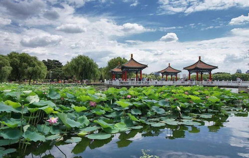 尼可纺织品，多彩生活，舒适体验