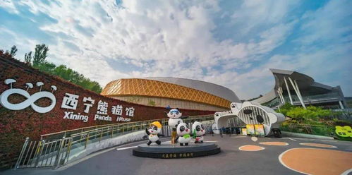 西宁纺织品大楼五楼，探索高端纺织业的魅力与机遇