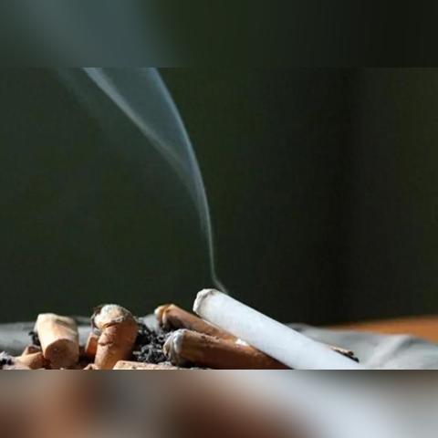纺织品抗菌设备品牌推荐及案例分析