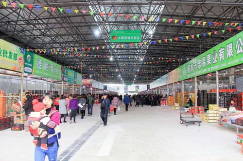 鹤壁纺织品批发市场概览
