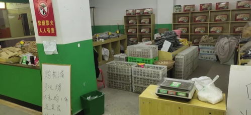 海安纺织品压缩包装机批发市场概览