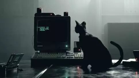 The Magic of the纺织厂猫眼，一探究竟