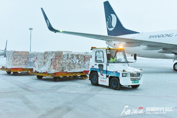 新疆纺织品日本空运案例分析