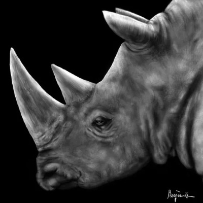 Rhinoceros Paints Textiles in a Unique Way