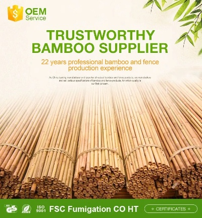 Tengzhou Bamboo Fiber Textile Wholesale Market Analysis