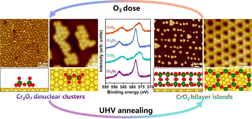 The Dynamics of Chi-Jie Textiles:A Comprehensive Analysis