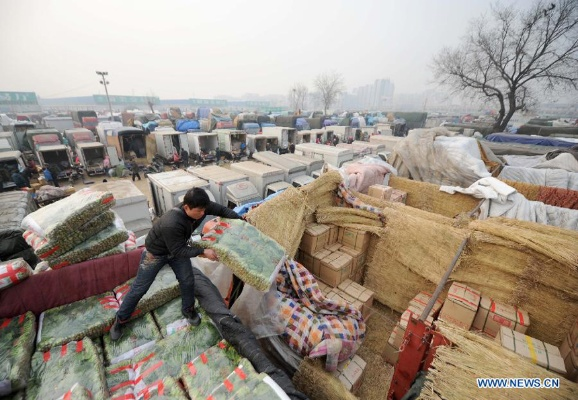 Exploring the World of Textiles at Tianjin Dexiang Market