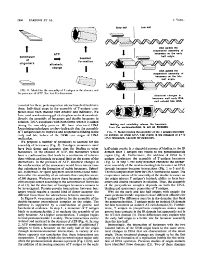 The Hidden Weaknesses of Textiles and How to Identify and Strengthen Them