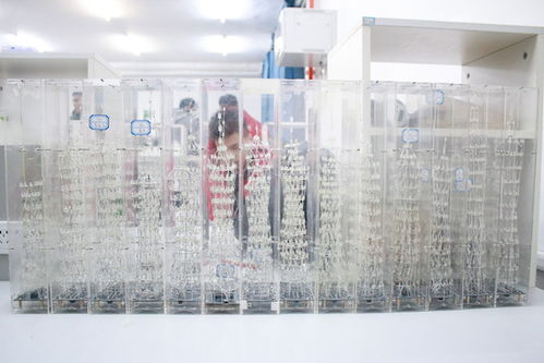 龙秀纺织品，品质与创新的完美融合