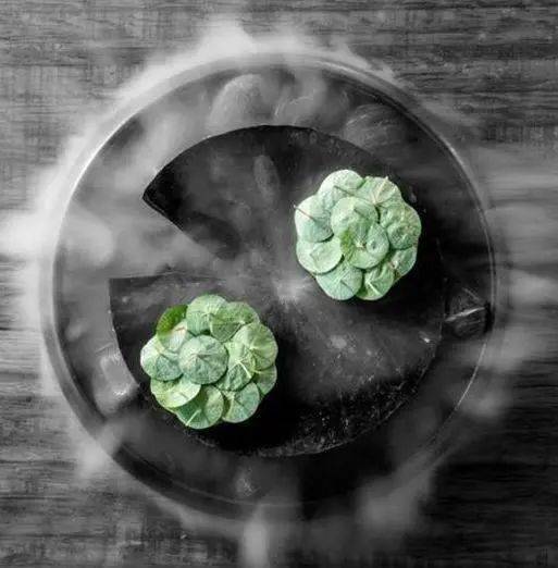 The Magic of 相思树纺织品 深入探讨其独特魅力