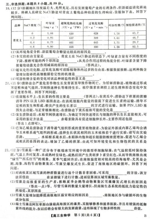 纺织品外观质量检验标准与实践