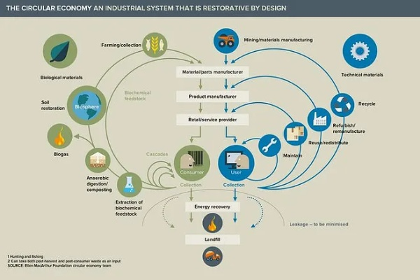 The Fabric of Our Future:The Impact of Textiles on the Global Economy