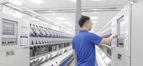 下岗纺织厂的转型之路