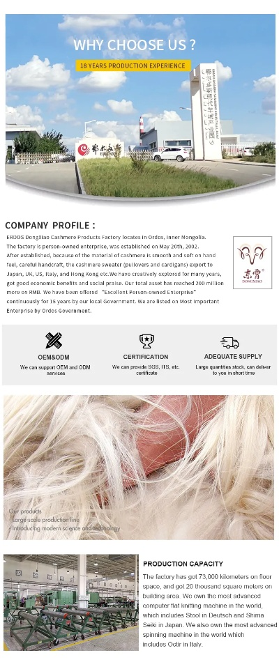 The Transformative Journey of Xiaogan New Textile Factory