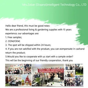 Discovering the Best Eco-Friendly Textiles in Guangdong