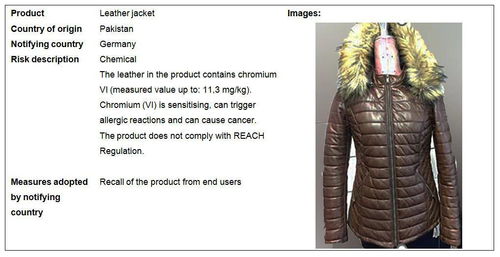 Ranking of Textile Suppliers in Fujian:A Comprehensive Analysis