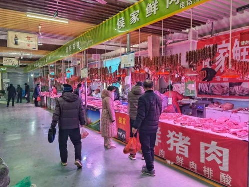 Exploring the南阳县安阳纺织品批发市场