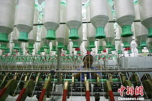 淮安进口针纺织品批发商案例分析