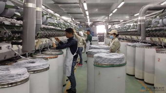 能源纺织厂的绿色未来，案例分析与未来展望