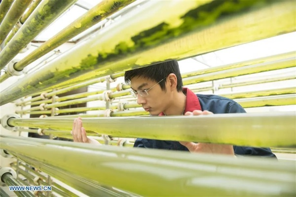 The 810 Project:A Journey to Sustainable Textile Production in Zhuji,China